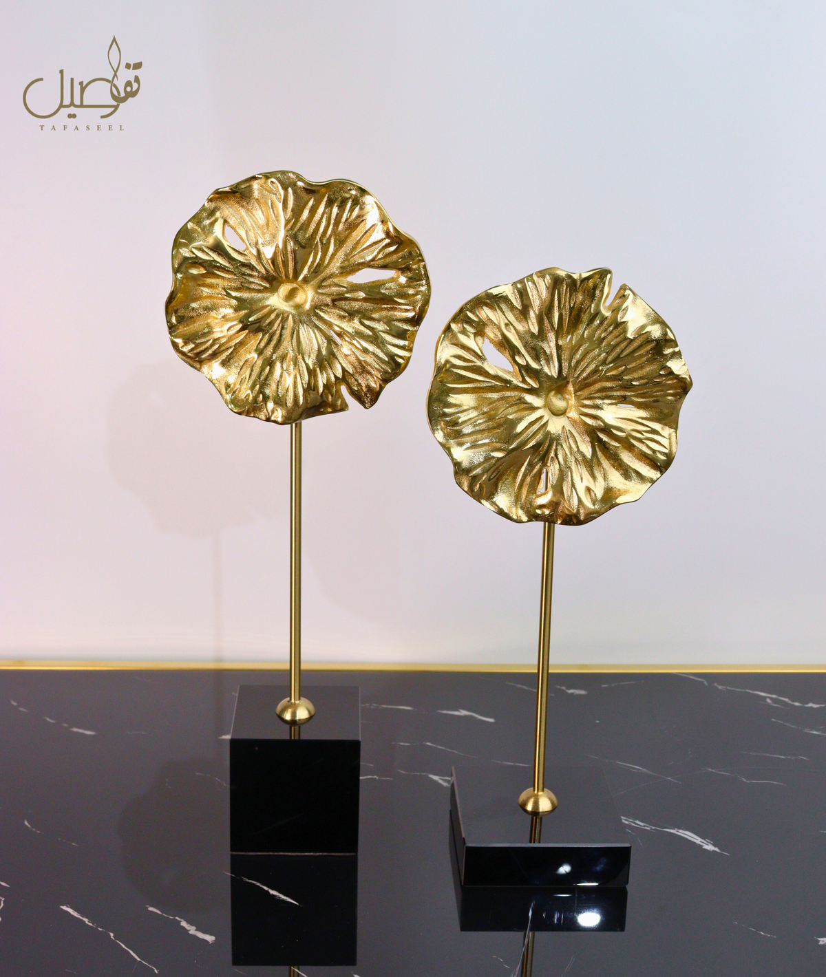 DECOR ELEGANTE ET MODERNE