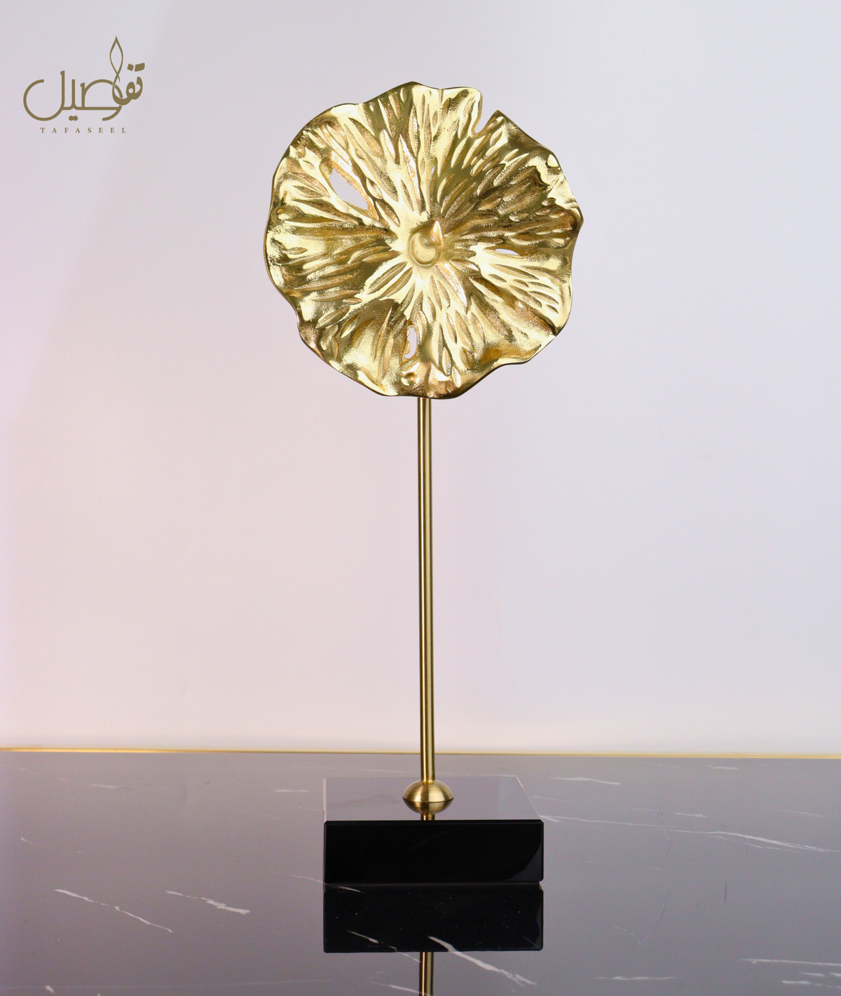 DECOR ELEGANTE ET MODERNE