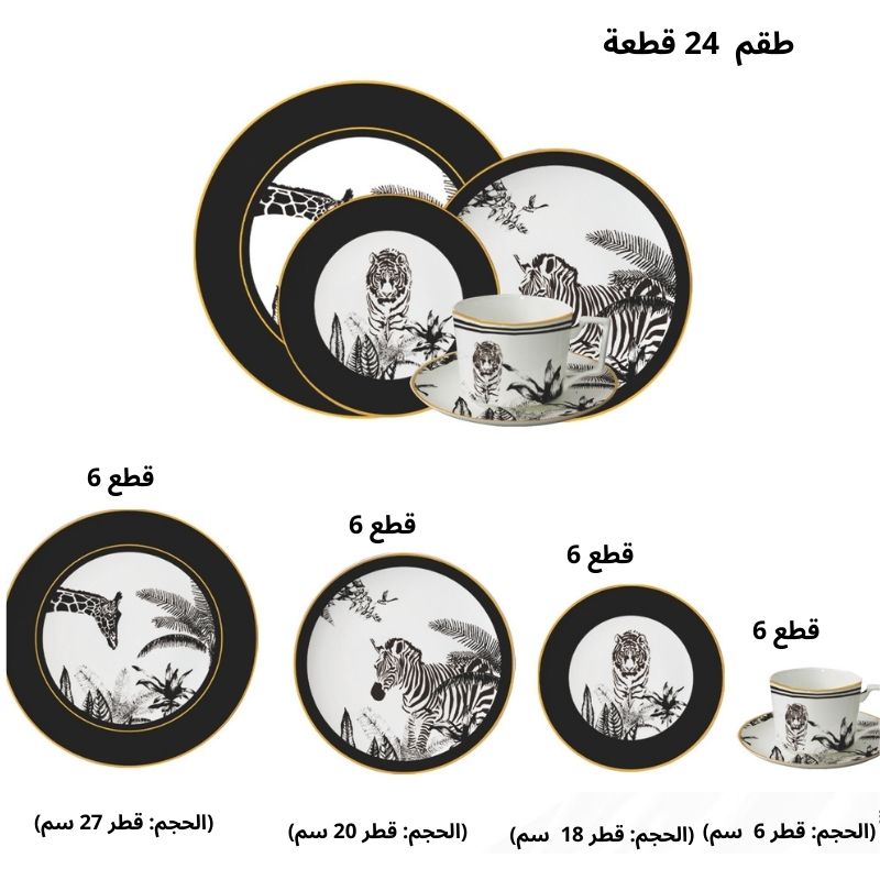 PACK D'ASSIETTE 30 PCS