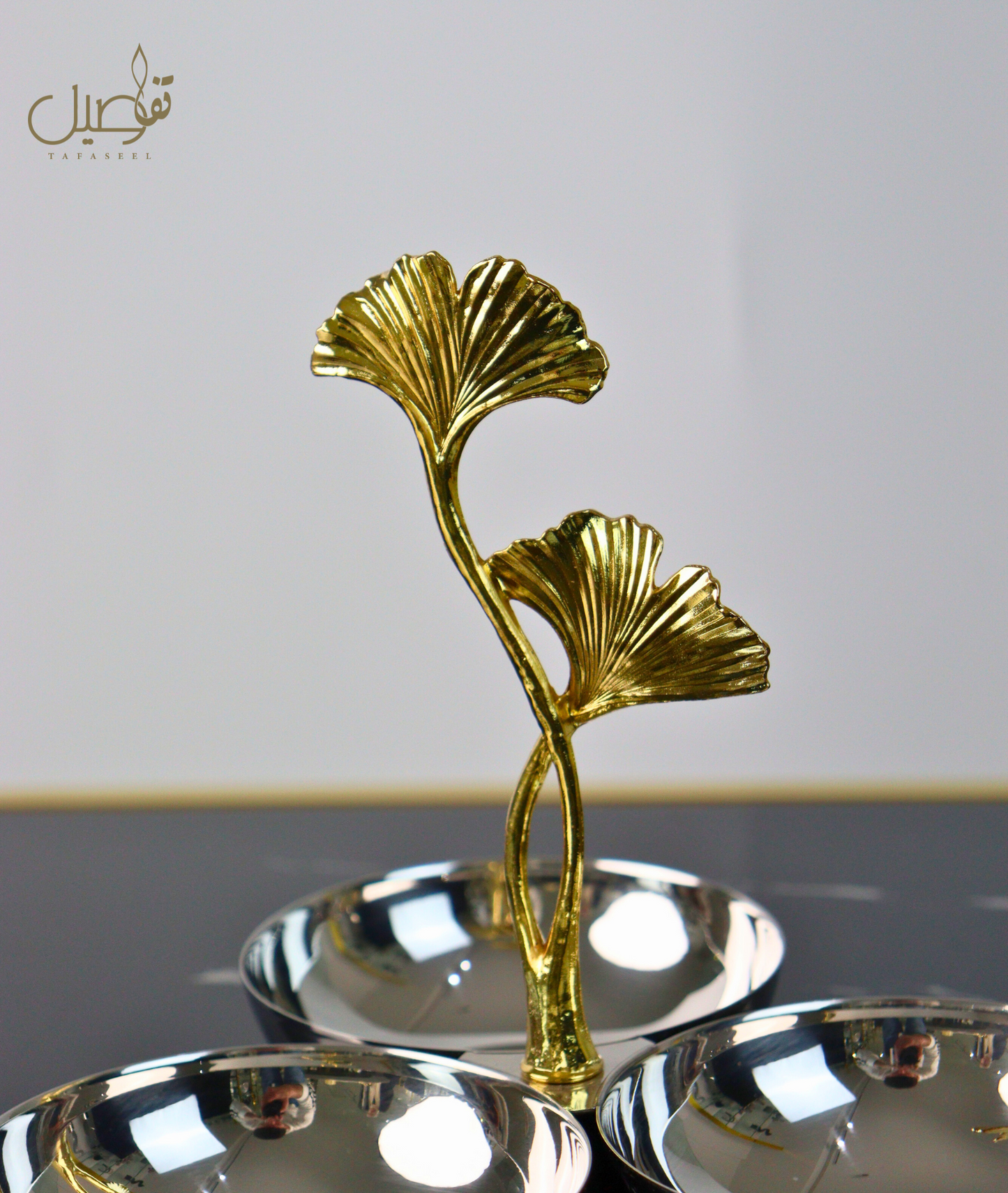 Bol  moderne luxueux